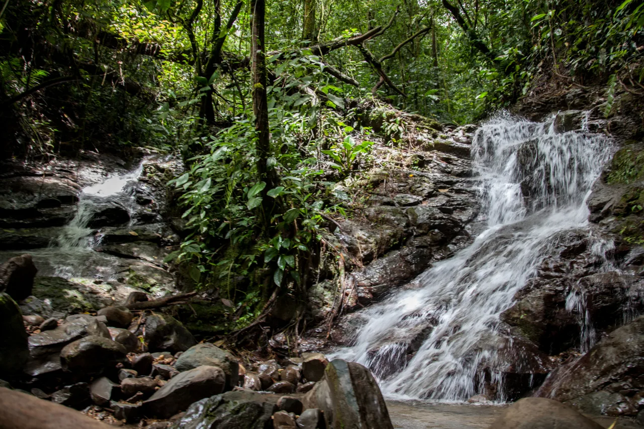 175 Acre Off The Grid Farm in Villa Bonita de Barú