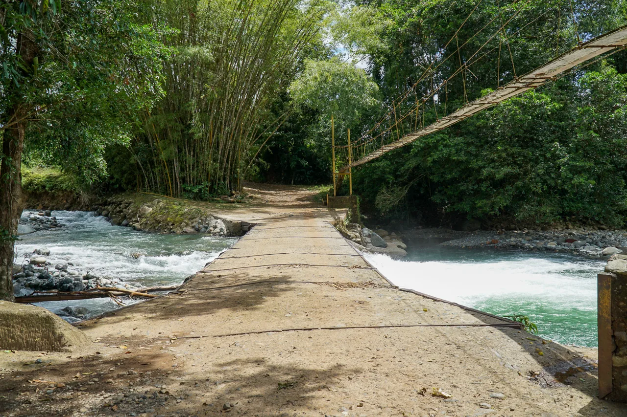 Perez Zeledon 561 Acre Coffee Farm and Other Crops