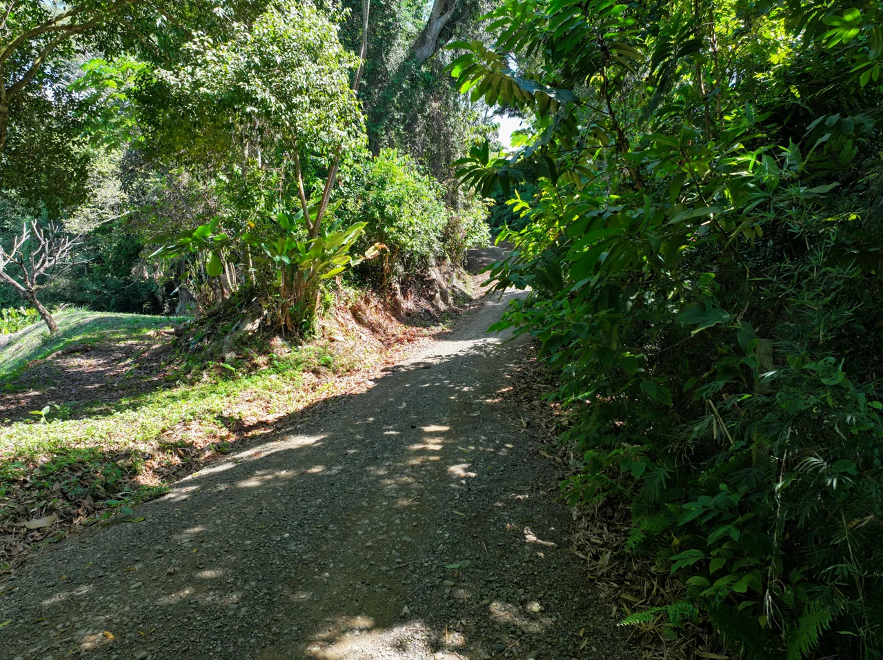 Dominical Homesite in Gated Community Minutes to Beach