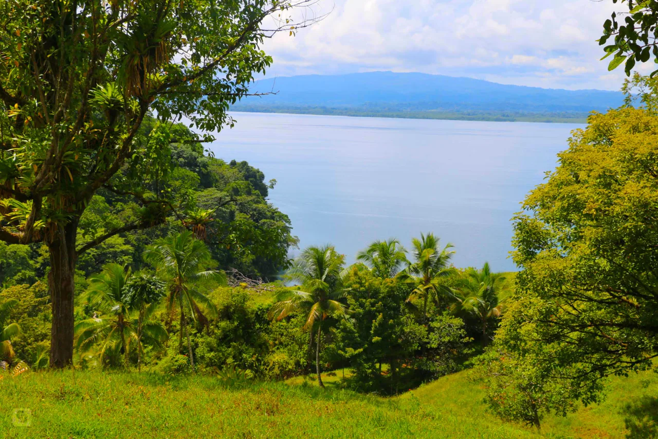 94 Acre waterfront property on Golfo Dulce for sale
