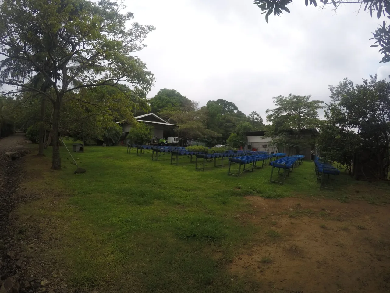 Excellent Alajuela industrial ofi-warehouse property investment opportunity