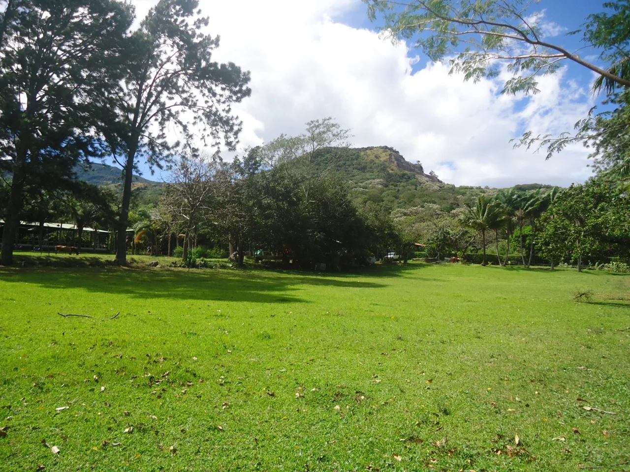Totally Flat Spectacular Santa Ana Equestrian Property