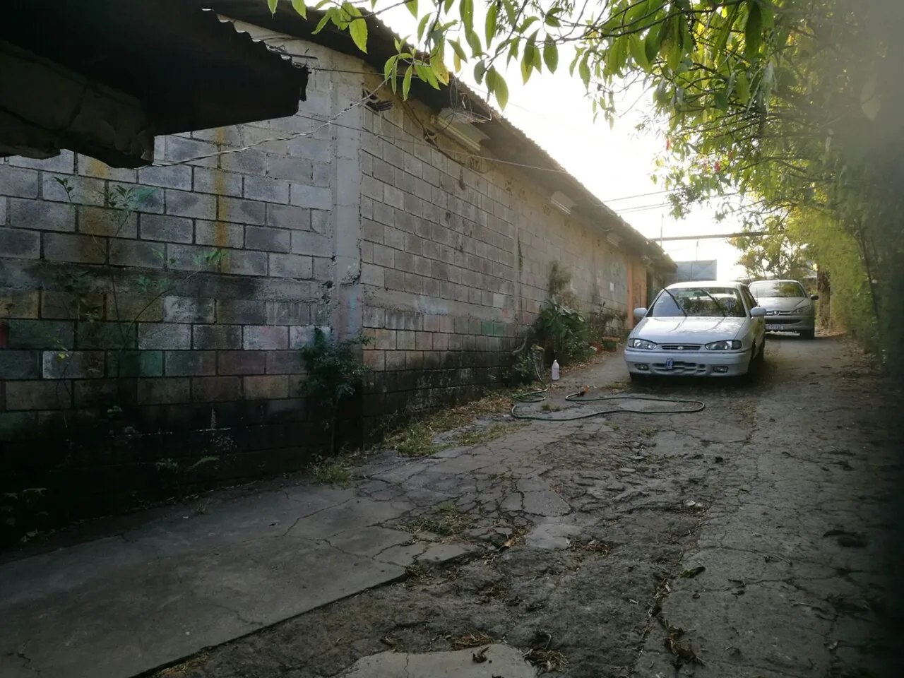 Great 1578 M2 Tibas development property for sale