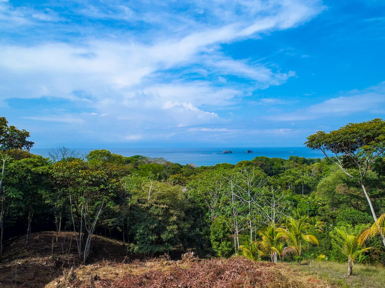 Playa Ballena Resort property is looking for successful real estate developer