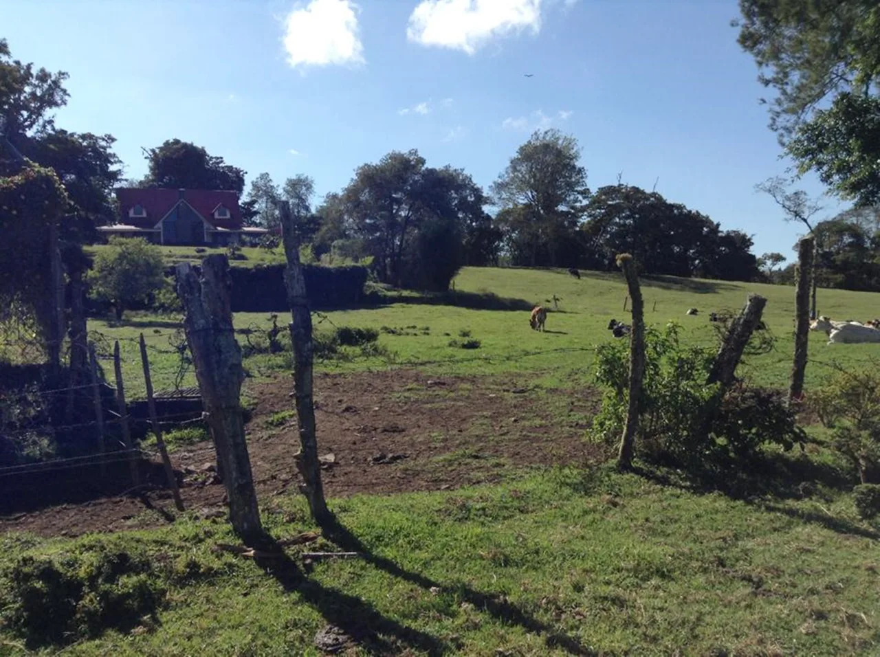 Coronado quarter acre view building lot for sale — photo 3