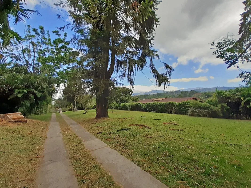 San Ramon de Tres Rios 2 Houses on 5 Acre property