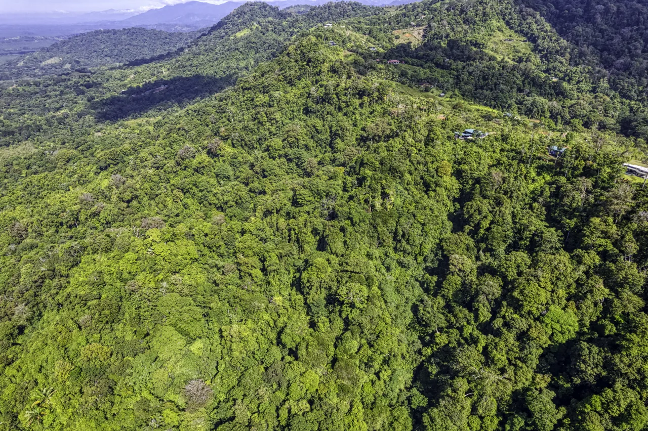 17 Acre Portalon Ocean View Property