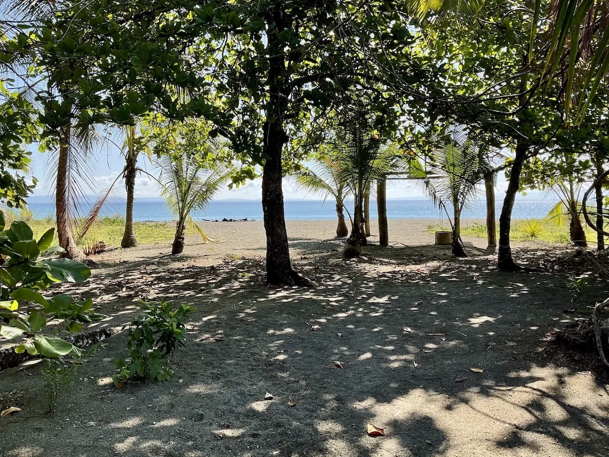 5 BR Exotic Boutique Jungle Beachfront Hotel