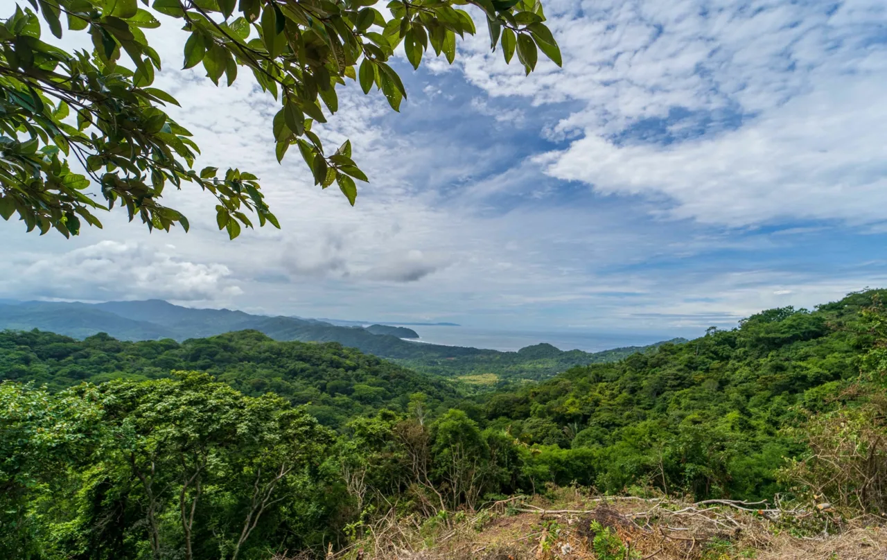 Ocean View Bosques de Playa Carrillo Homesite