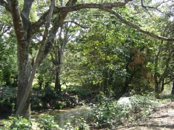 Foreclosure Bargain Escazu lots with views finance possible