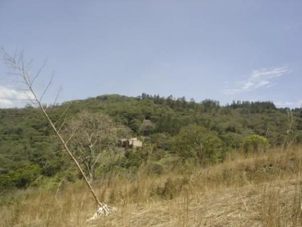 Beautiful view land with stream trees