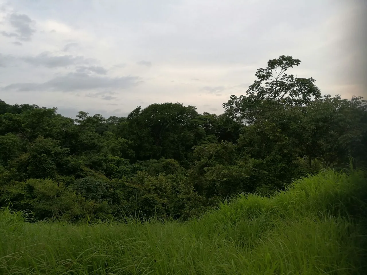 53 Acre Bajamar development property with aquifer for sale