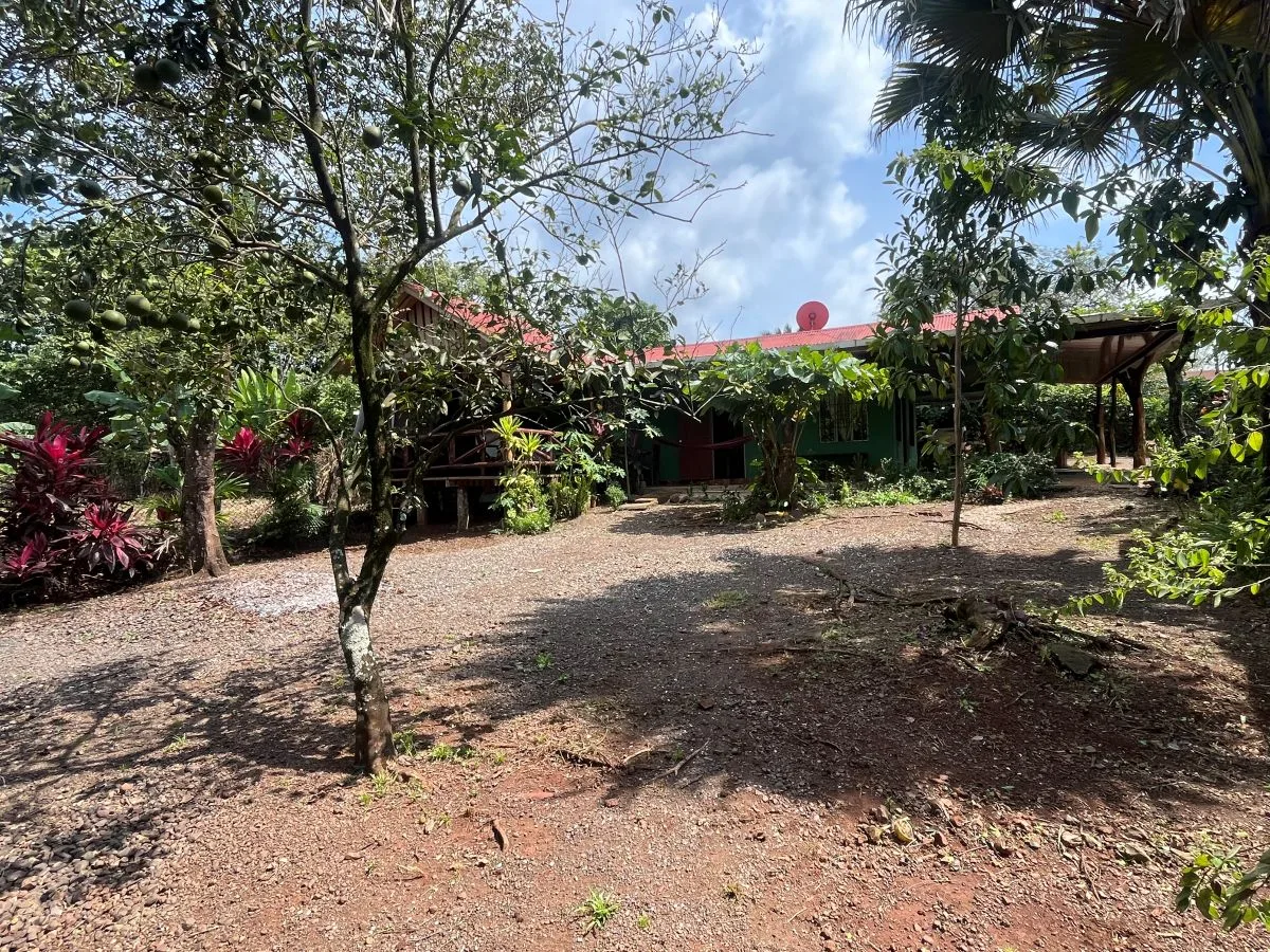 Great Residential-Commercial Property 10 Minutes from Coyote Beach
