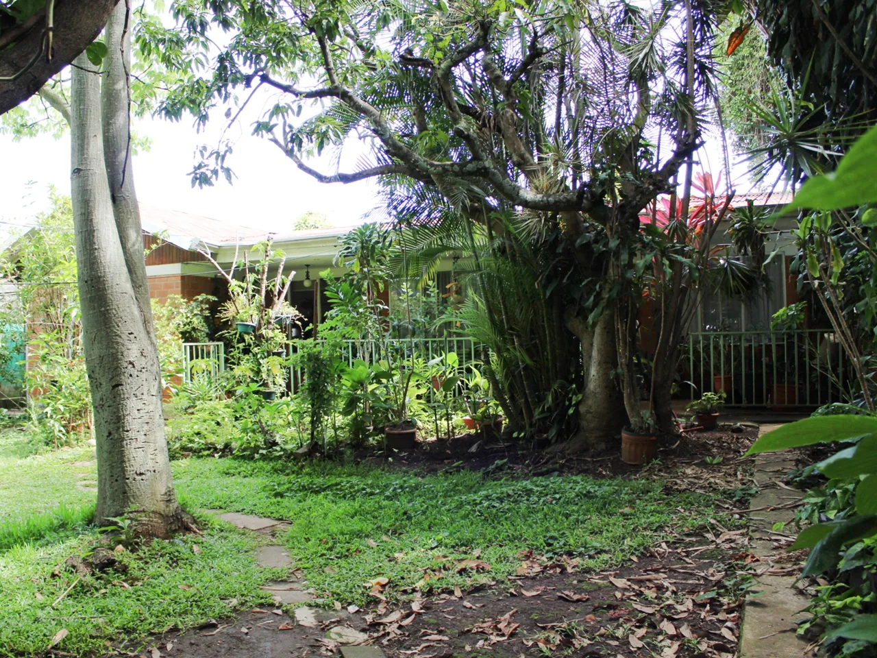 Main Street Tibas 842 M2 commercial lot $900/m2 — photo 3