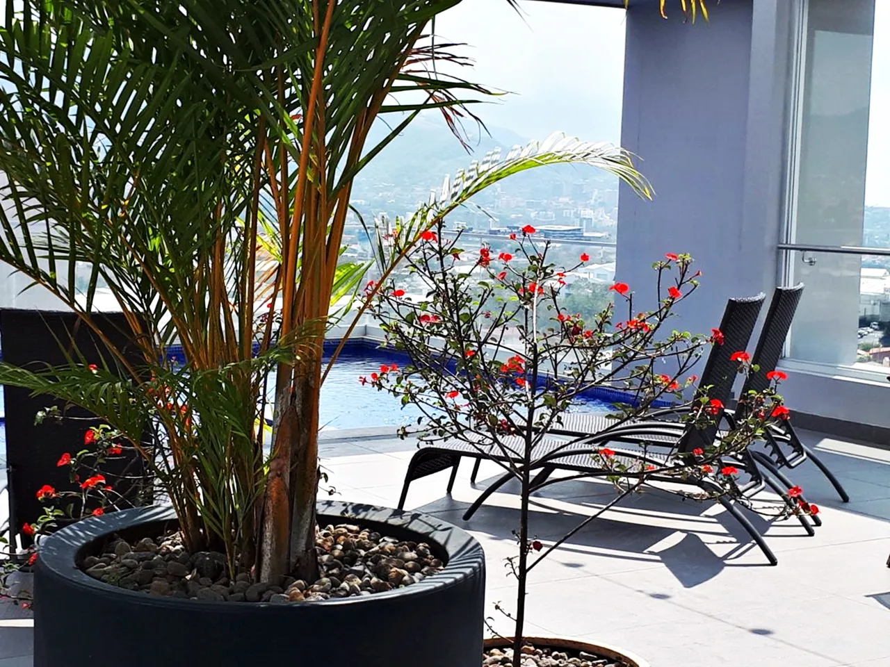 Nunciatura Flats city view condo for sale — photo 3