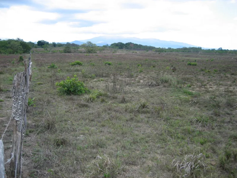 Subdivided 47 Acre Development Land for Sale in Liberia