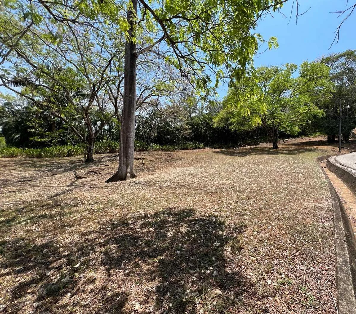 Playa Carrillo Gated Community Quarter Acre Building Lot