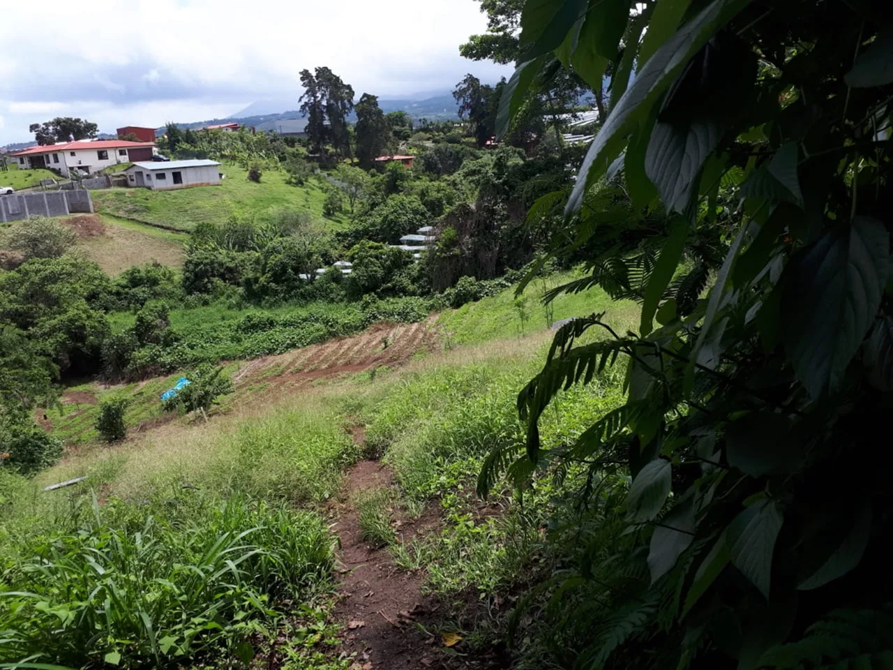 16 Acre Heredia development property near Limon highway — photo 4