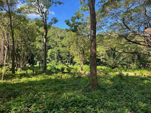 Rare Playa Tambor Titled Beachfront Lot