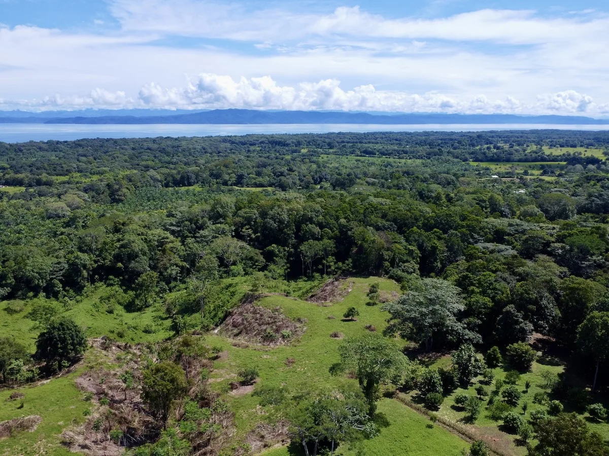 Private Community Ocean View Lot in Osa Peninsula