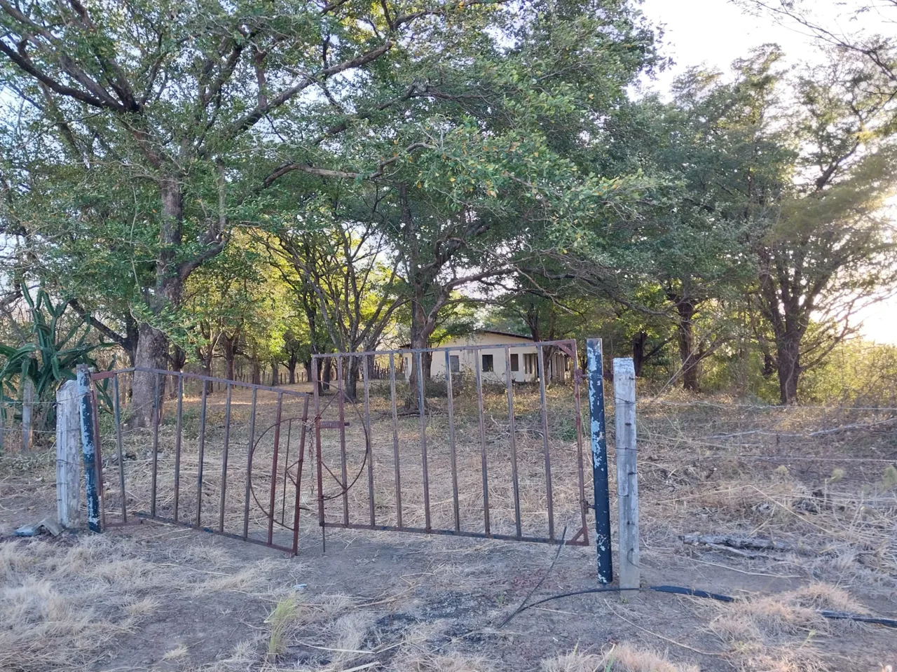 38 Acre Bagaces Farm on the Panamerican Highway