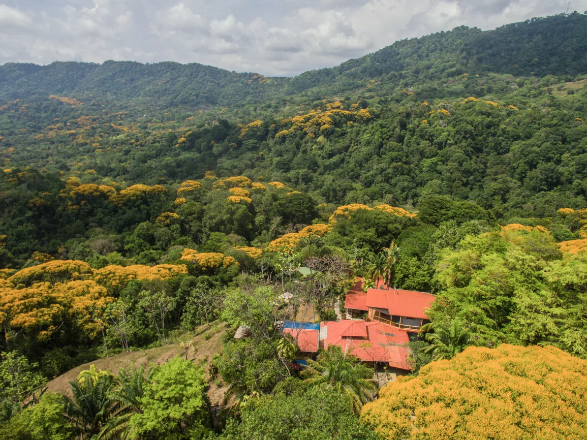 Dominical Eco Lodge overlooking the rainforest canopy