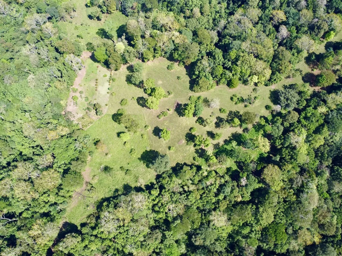 Osa Peninsula Eco Village Development Property or Estate