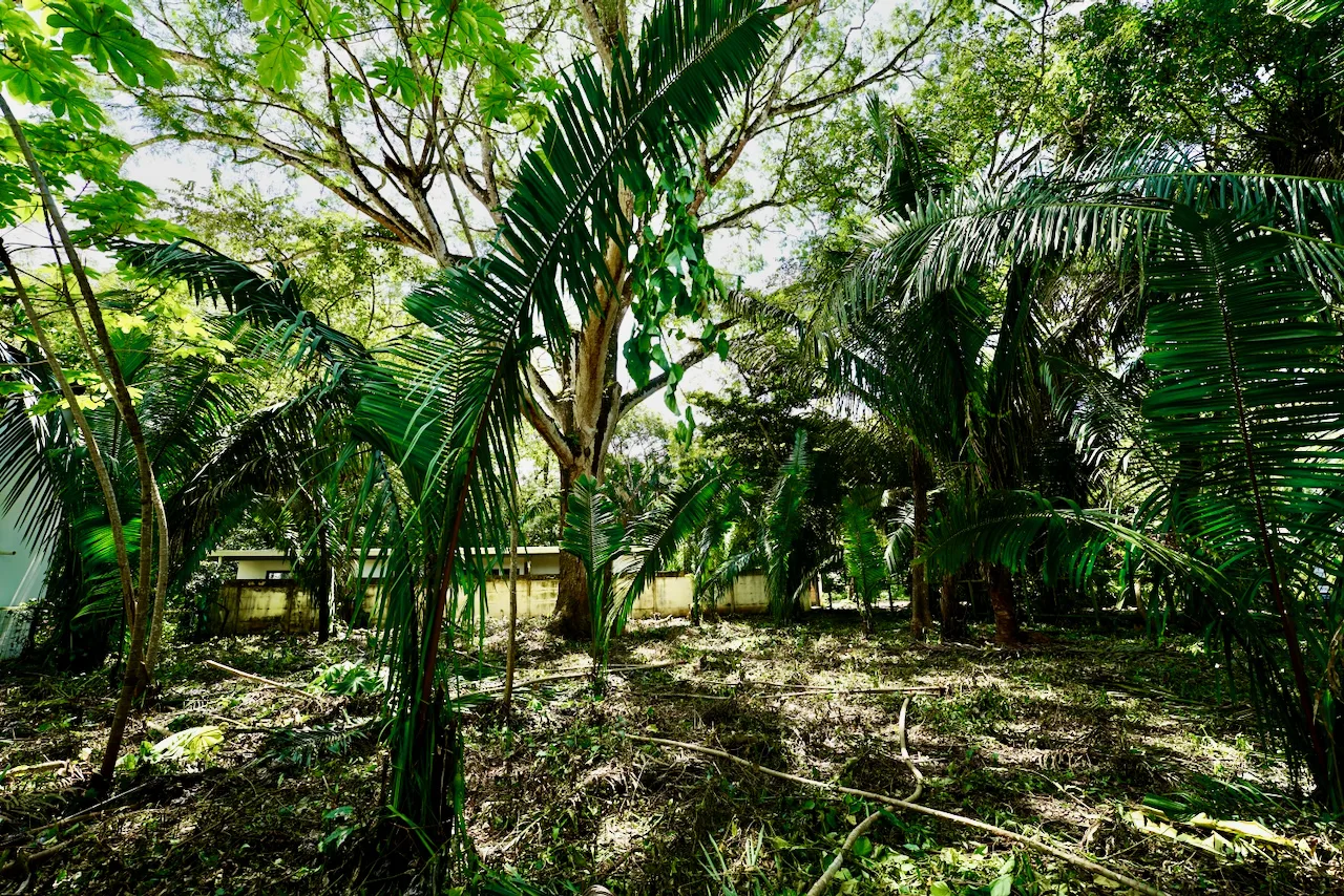 Selvamar Nosara Rectangular Building Lot #2