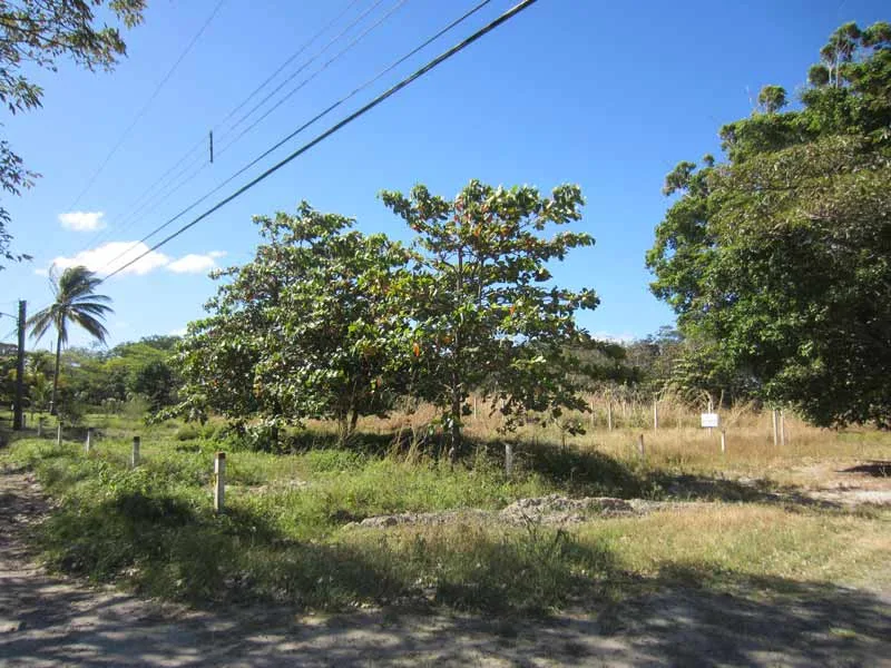 Liberia building lots for sale in calm neighborhood – various sizes available