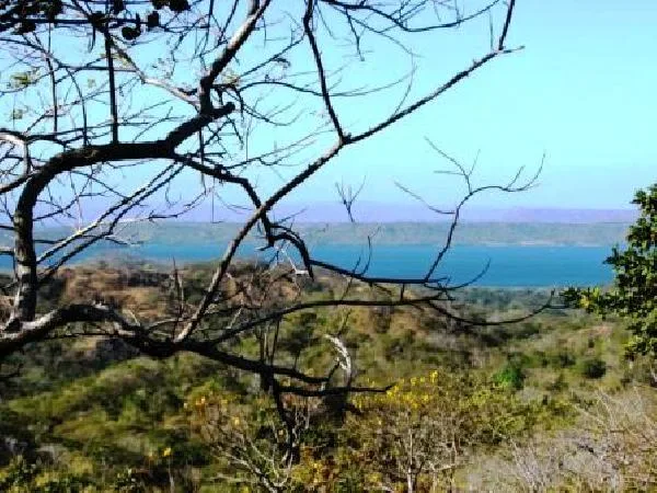 Ocean And Bay View Investment Property for sale