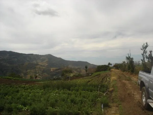 Platform perched on Santa Ana Hill