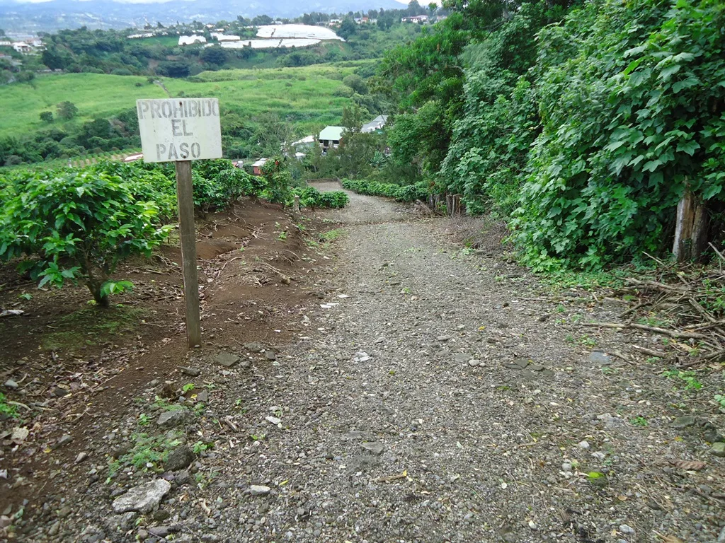 Moravia Estate Lot 11,803 m2 coffee plantation just $354,000 — photo 3