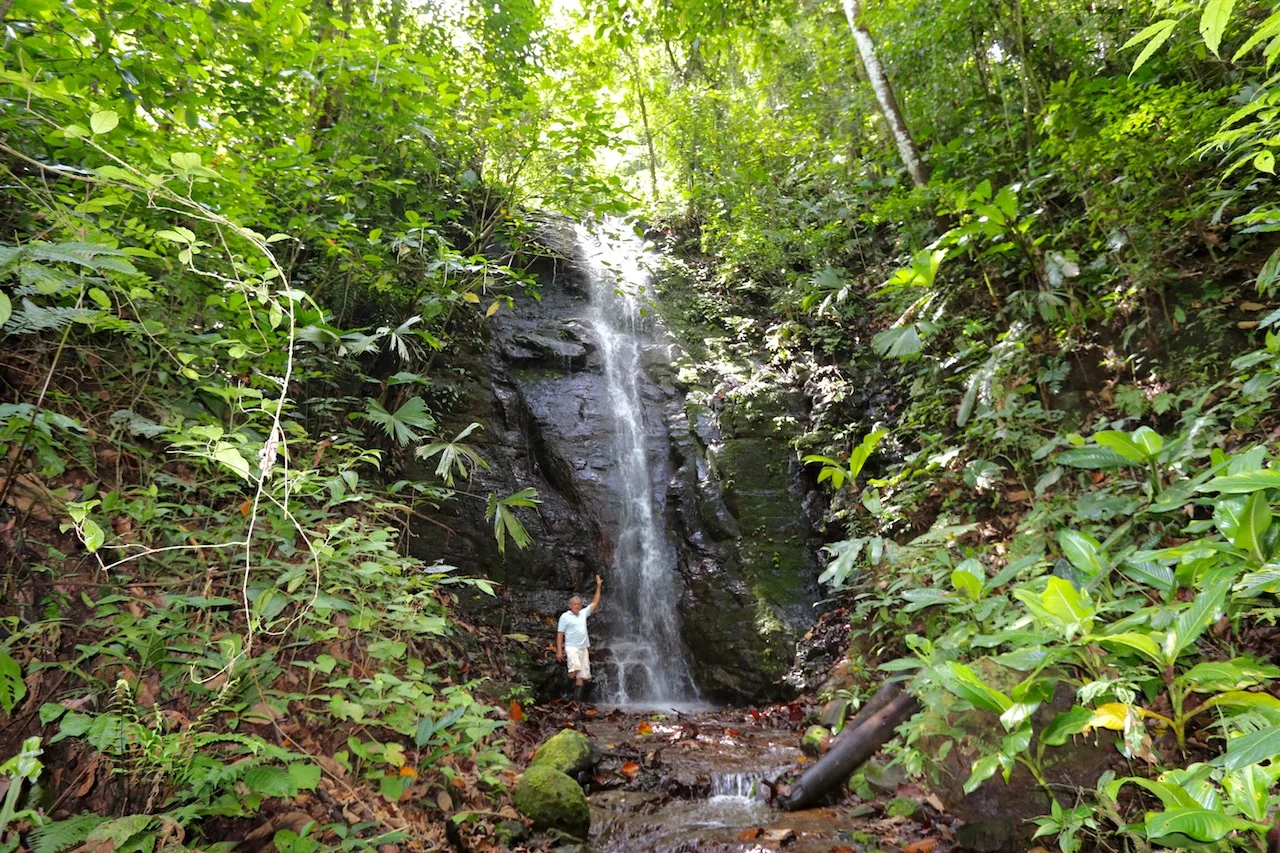 22 Acre Mountain View Dominical Property or 2+ Acre Homesite