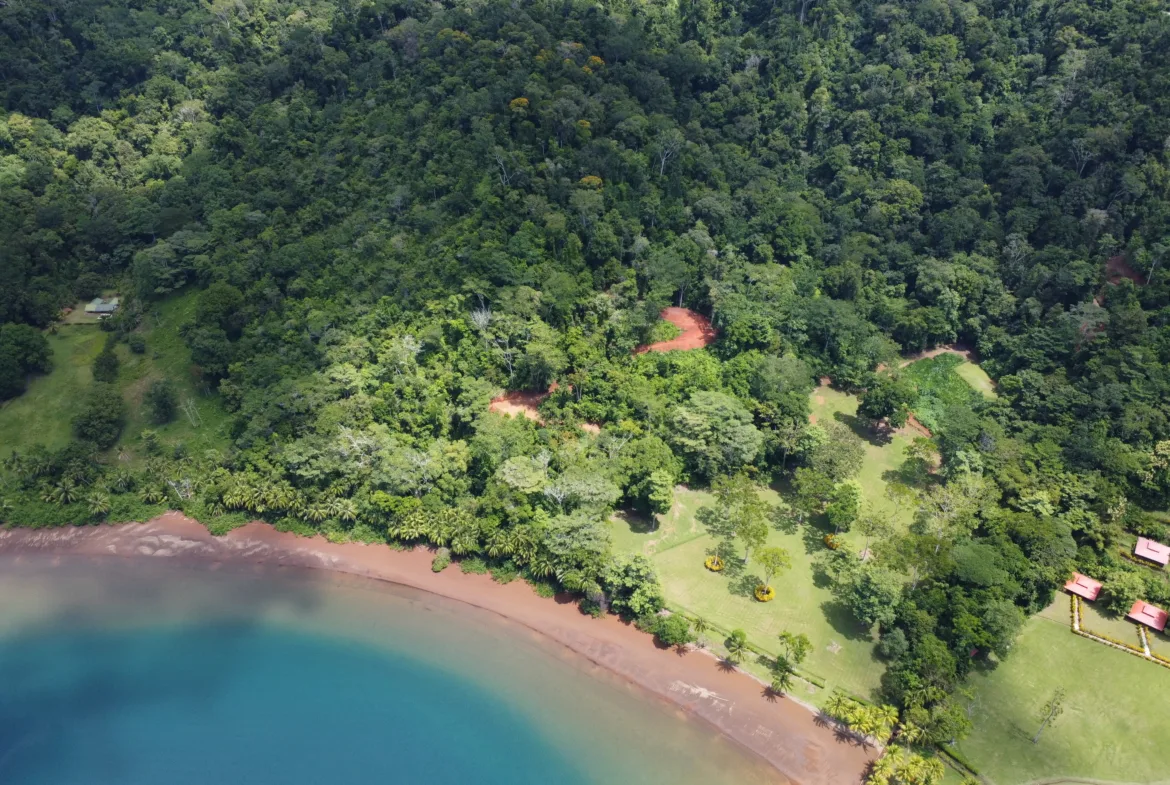 Spectacular Coastal Rainforest Estate Beachfront Property