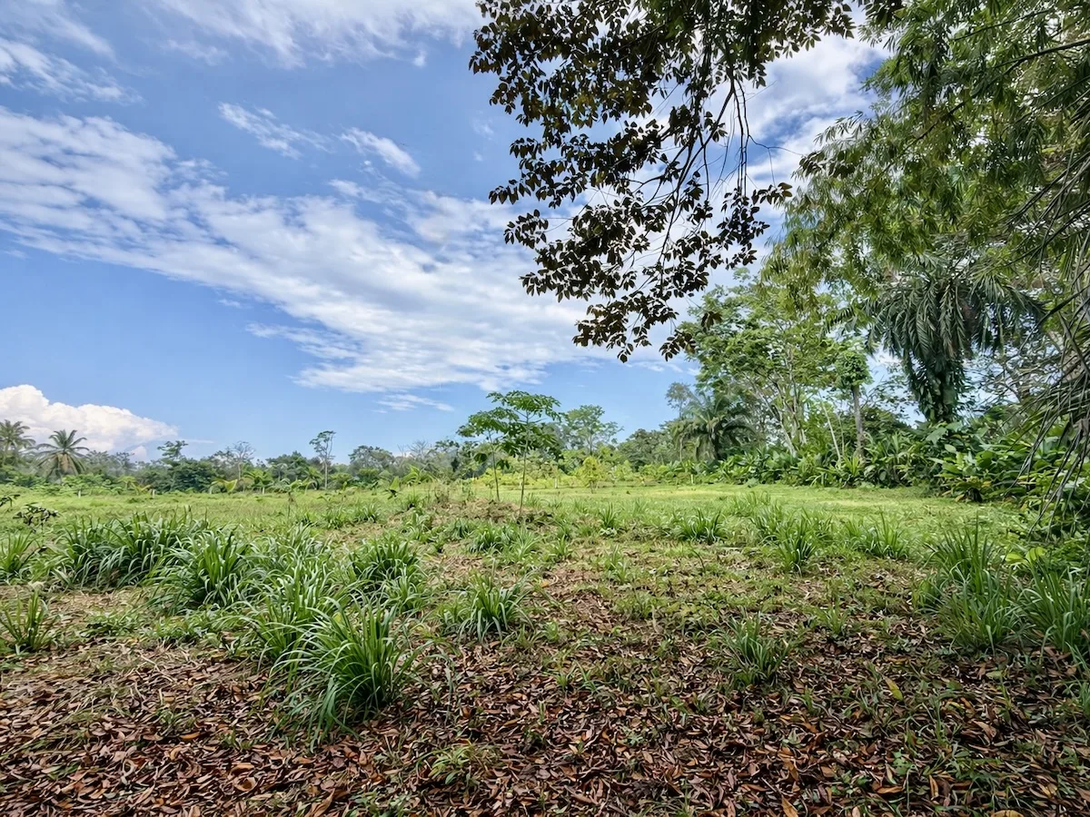 2 Acre Building lot Near Puerto Jimenez in the Osa Peninsula