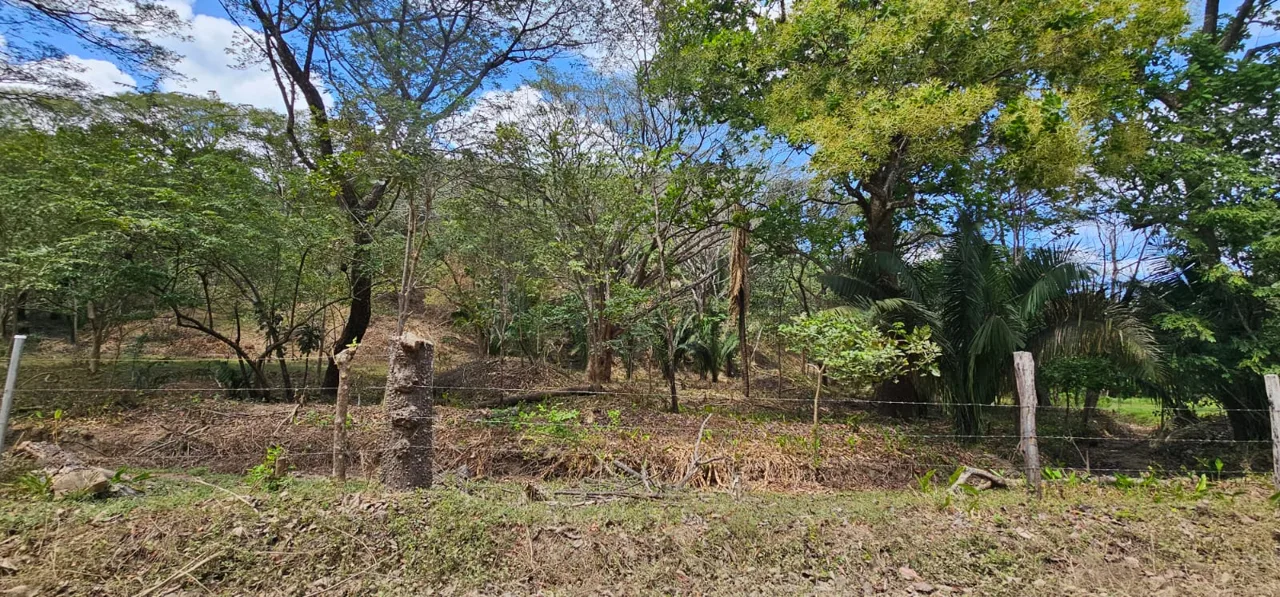 Buena Vista Samara 1 Acre Lot with Seasonal Creek