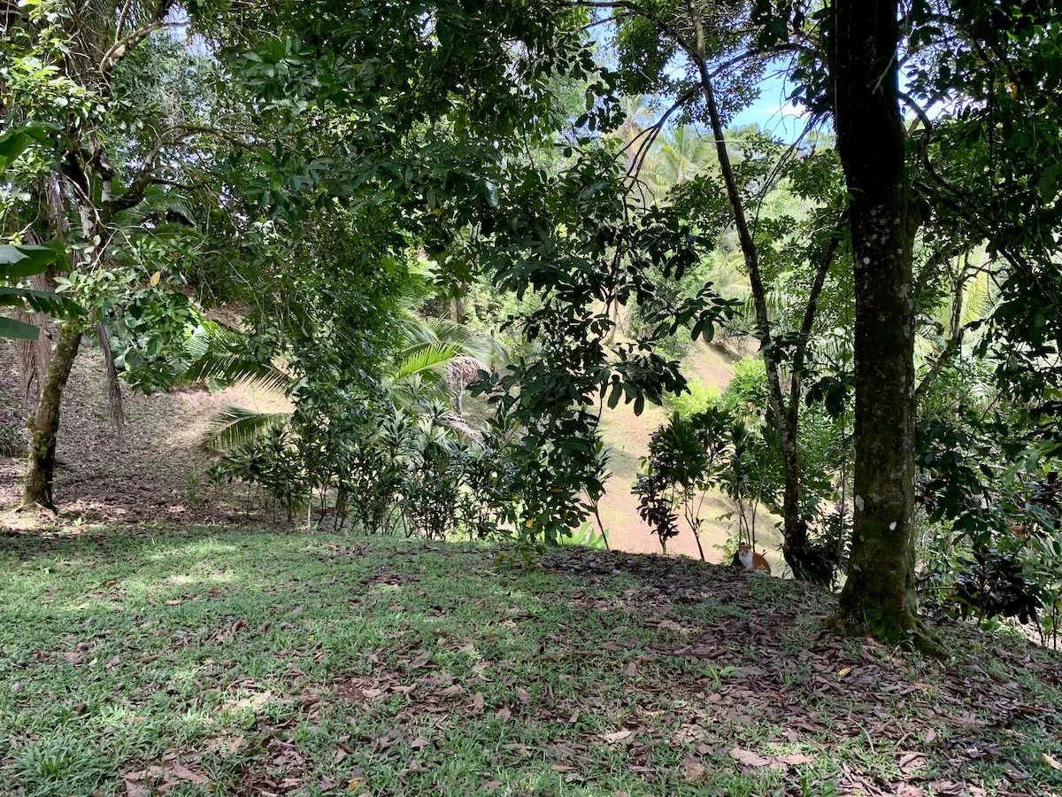 La Palma Turnkey 2 BR Garden Home on Large Parcel