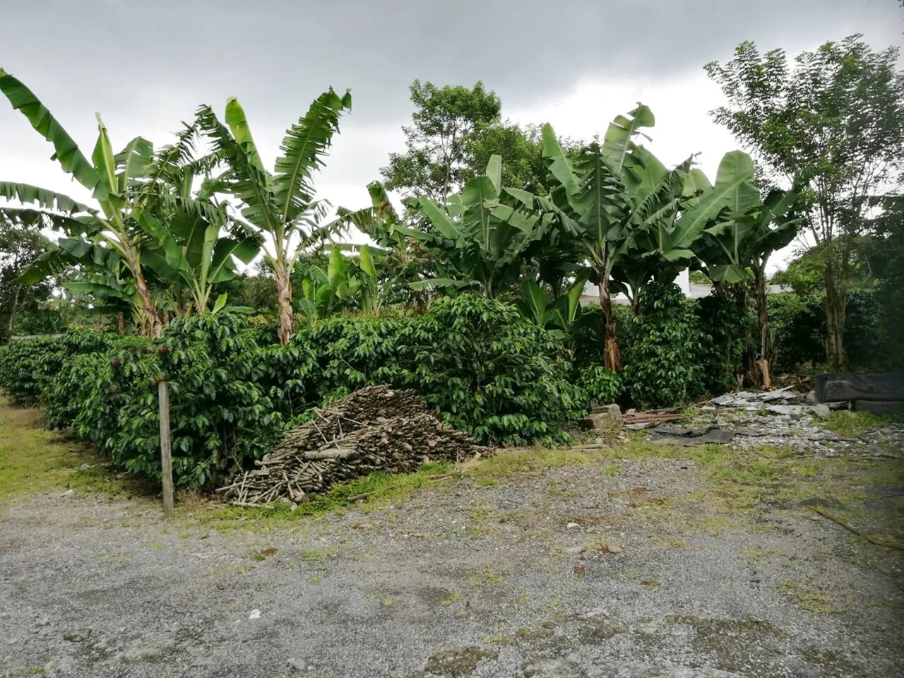 Santo Domingo Heredia residential building lot 1649 M2 — photo 3