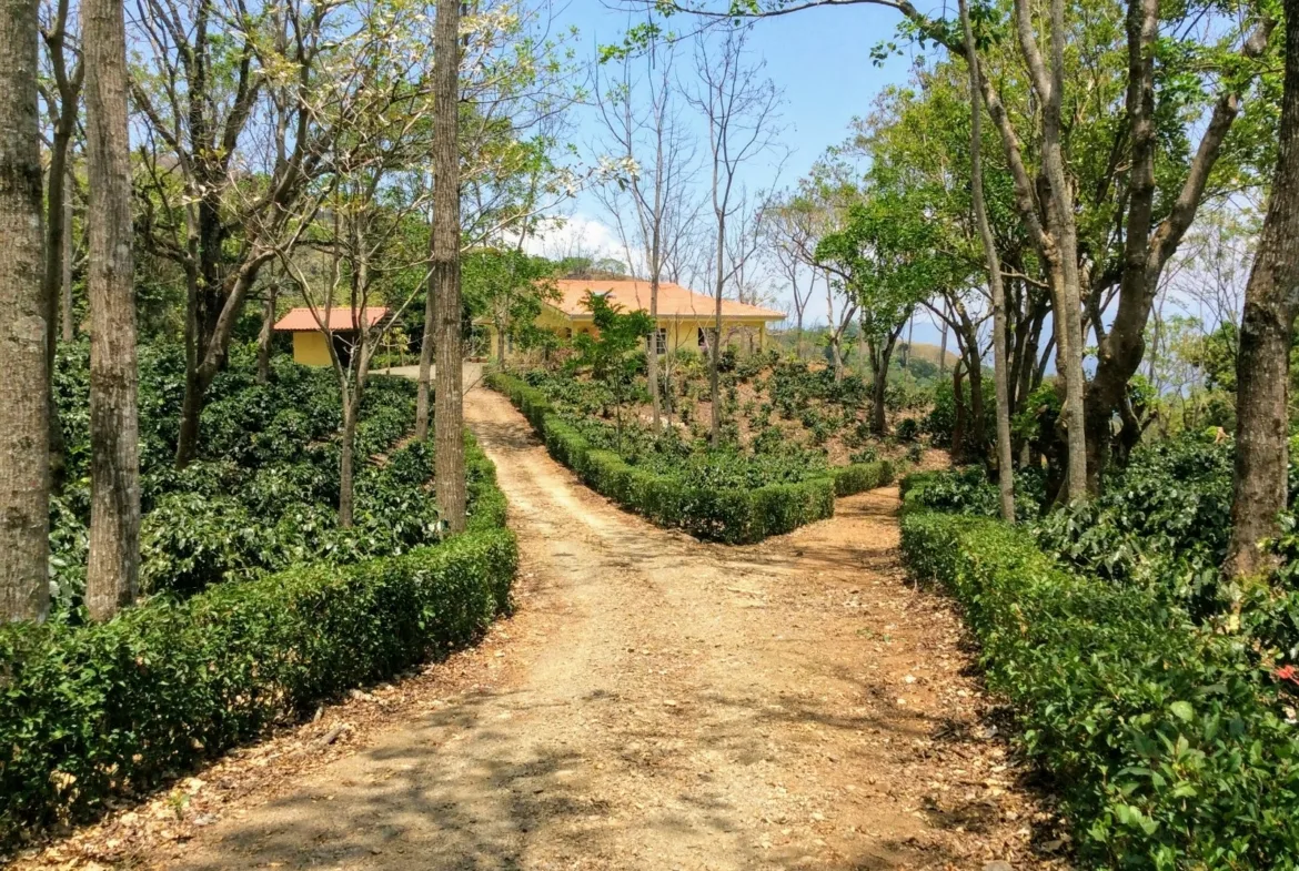 Enchanting Coffee Estate 2 BR Home in Altos Los Cafetales