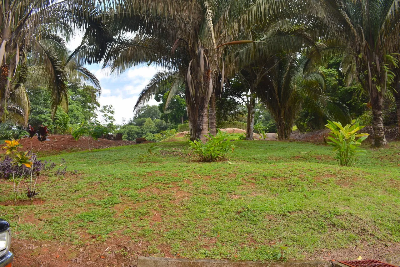 Bargain Golfito Real Estate Development Opportunity or Estate Lot