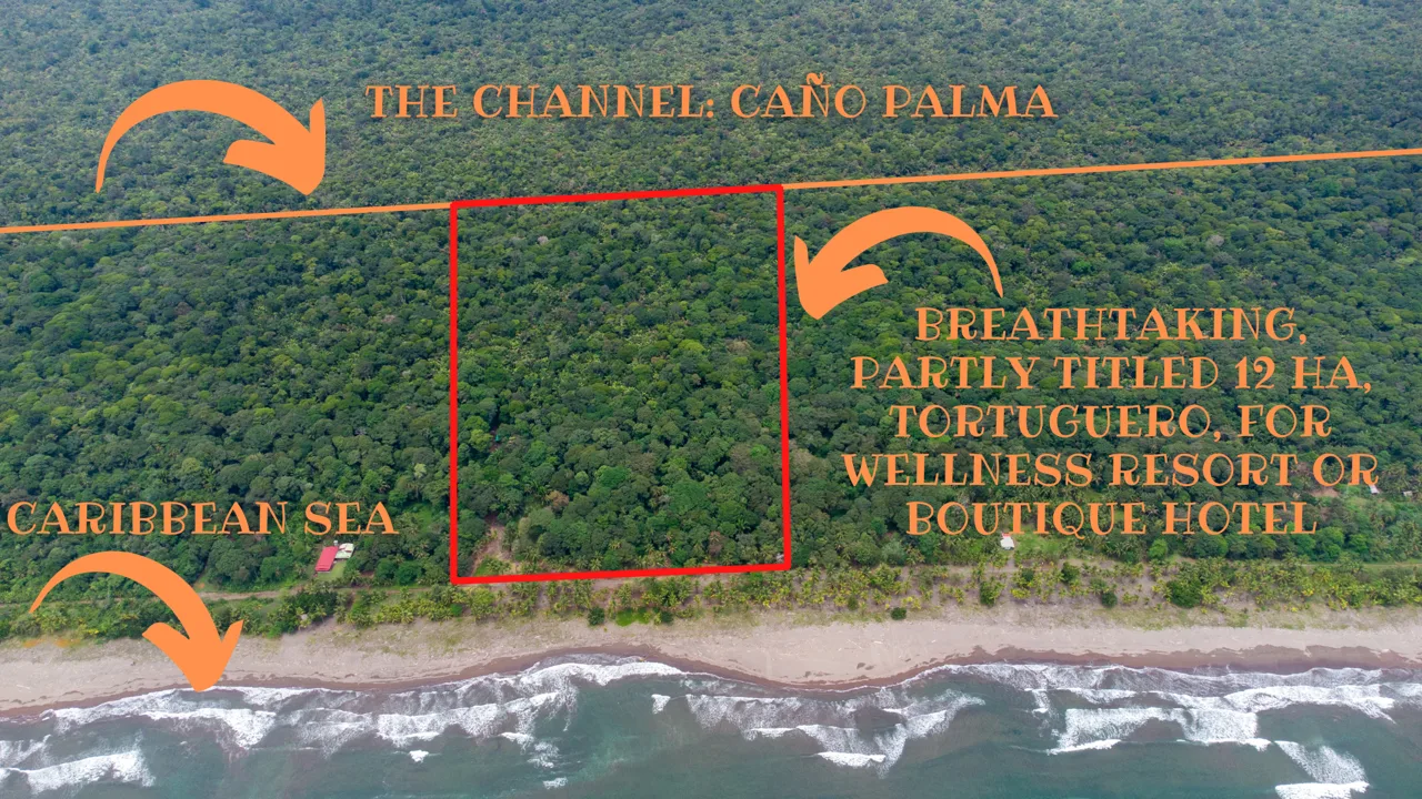 28 Acre Tortuguero Beachfront for Boutique Hotel or Resort
