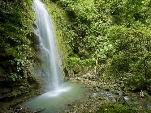 Matapalo Osa Peninsula Lot: Your Dream Property