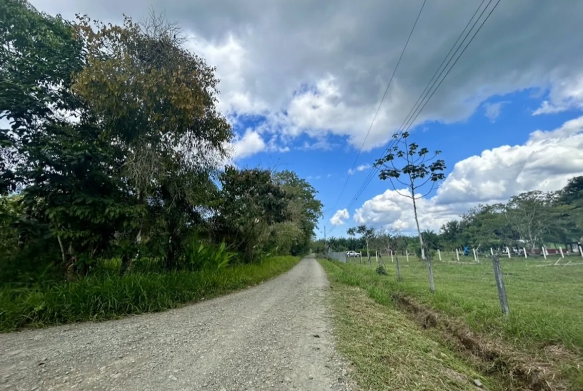 Affordable Puerto Jimenez 2 Acre Building Lot