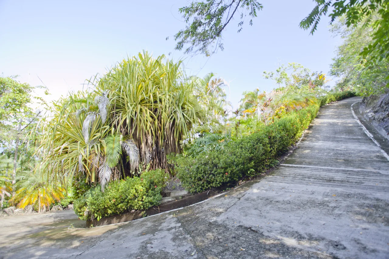 Magical 7 Acre Quepos Marina View Estate