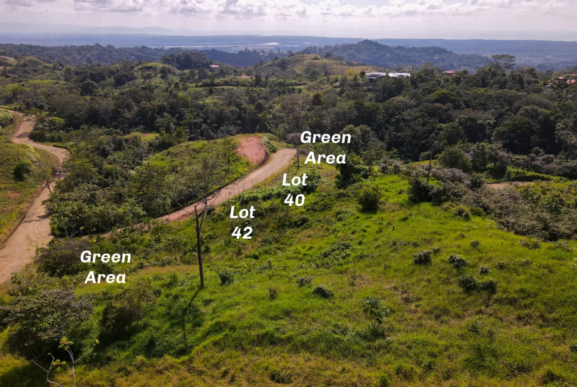 Very Affordable Chontales Ocean and Mountain View Lot