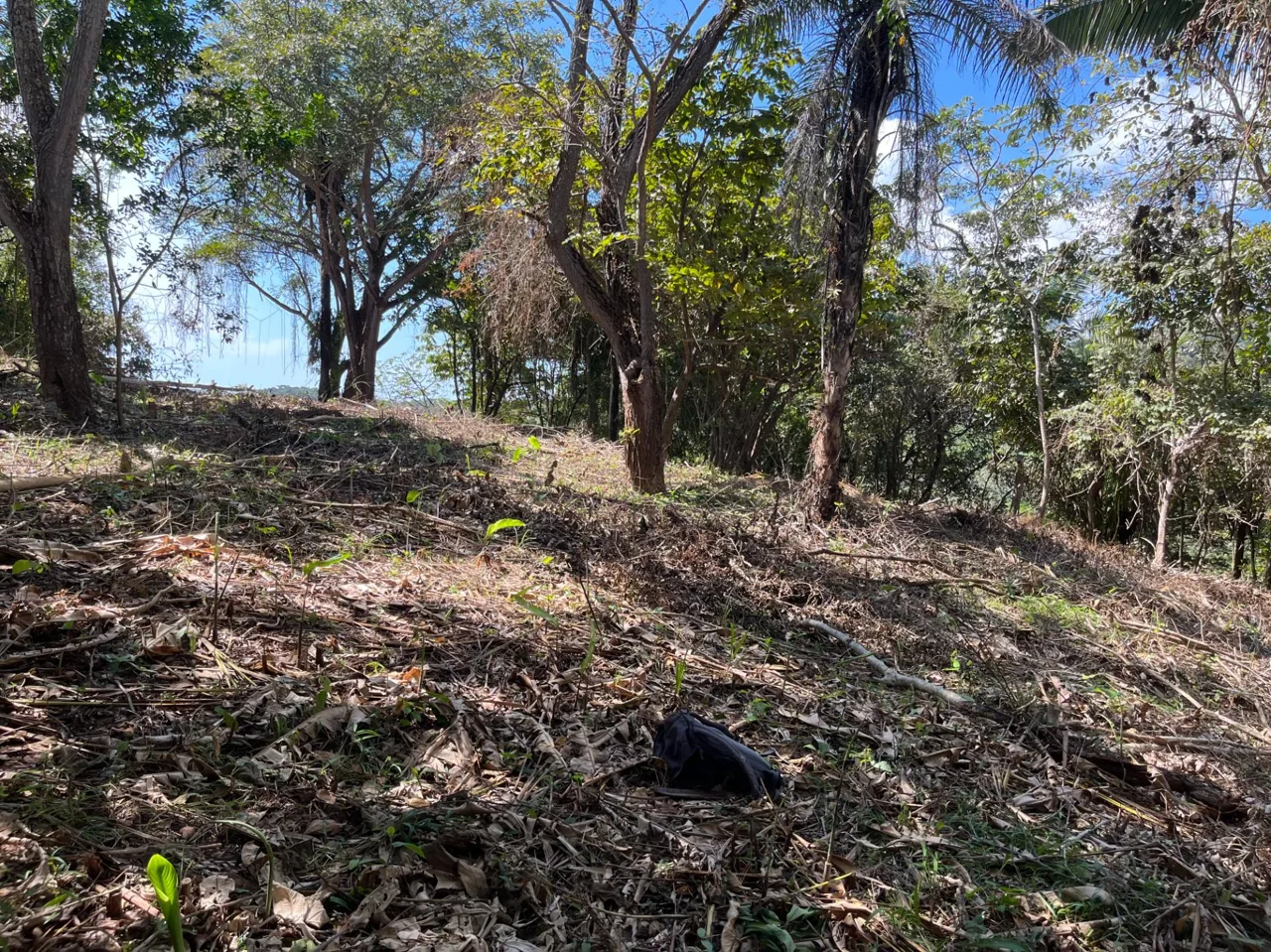 Ready to Build Montana Estates Samara Ocean View Lot