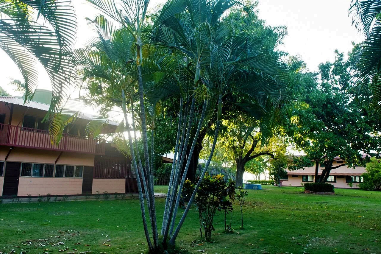 Stunning Playas Del Coco Beachfront Property