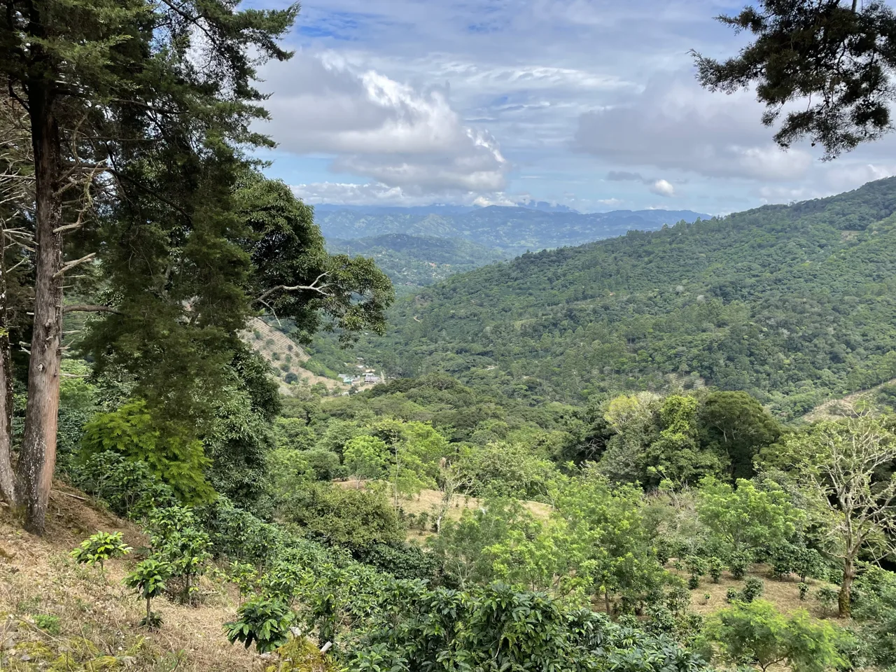 Magnificent 618 Acre Tarrazu Coffee Farm with processing plant