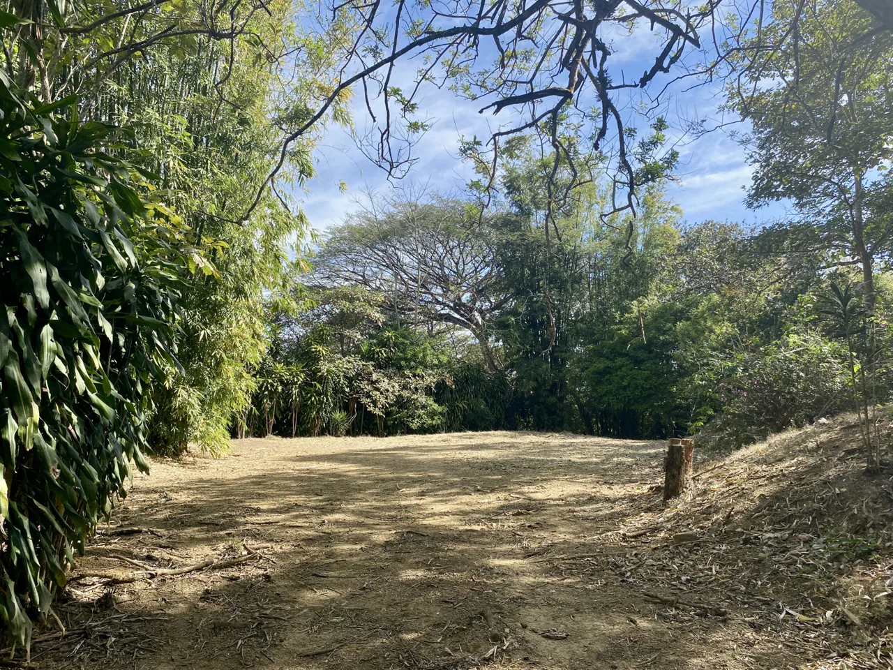 Ciudad Colon 15 Acres divided into 6 Building Lots $11/m2