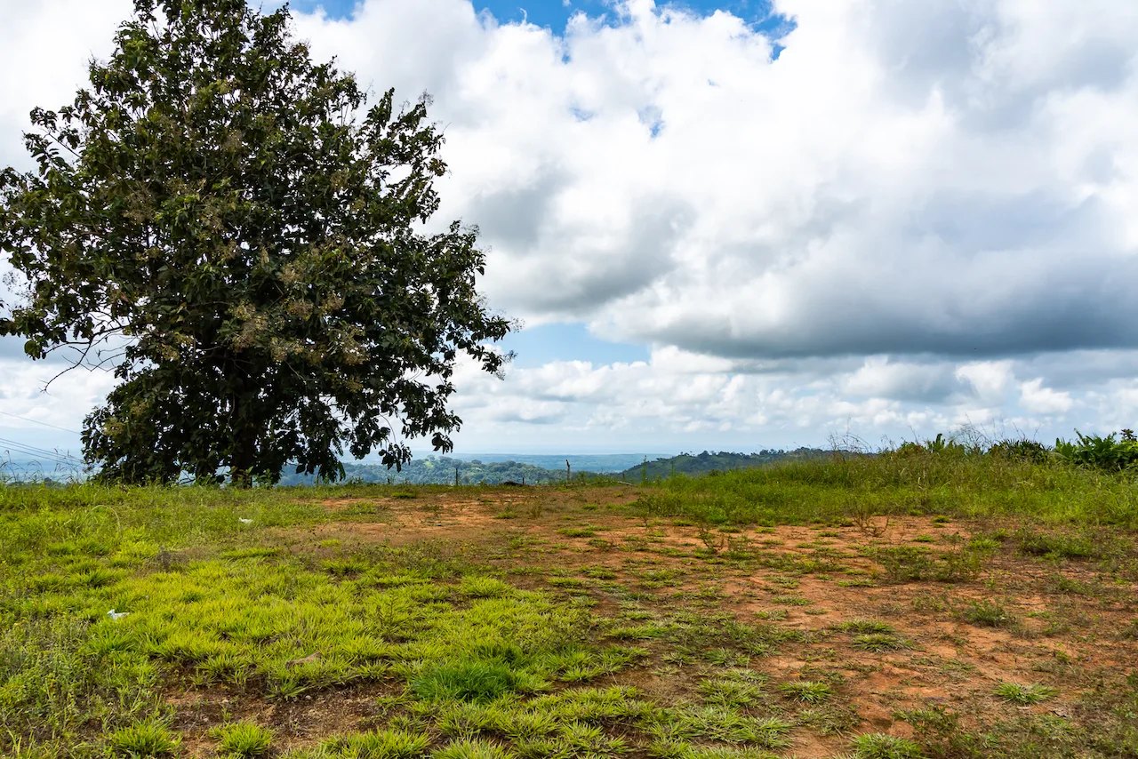 138 Acre Ciudad Cortes Ocean View Land Overlooking the Southern Zone